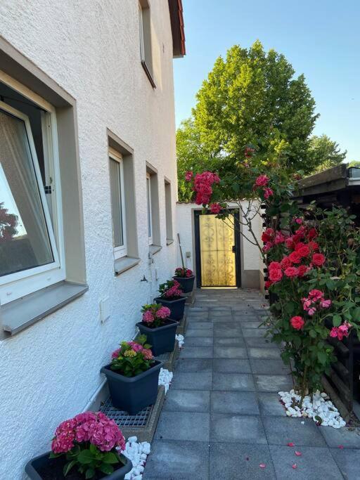 Ferienwohnung Bronzetaler Bad Harzburg Exterior foto